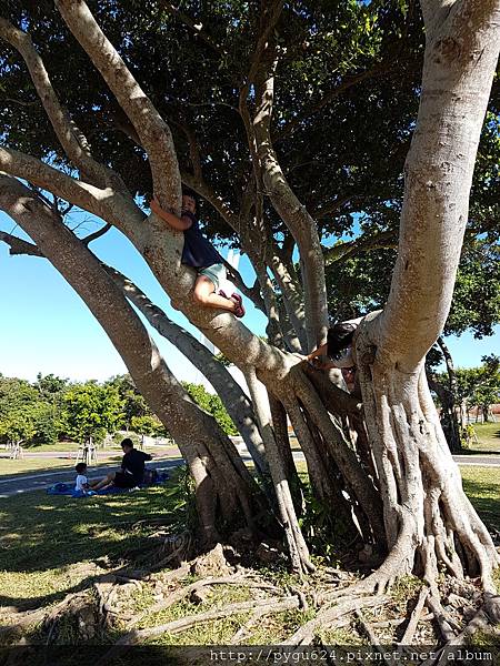 今天從早到晚再傳一次到相簿_170828_0137.jpg 今天從早到晚再傳一次到相簿_170828_0137.jpg