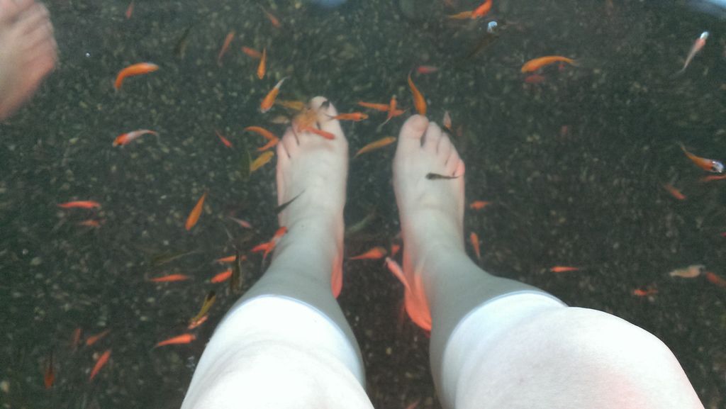 IMAG5927.jpg IMAG5927.jpg