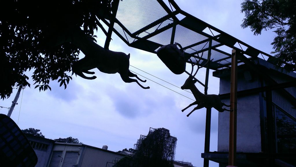 IMAG5981.jpg IMAG5981.jpg