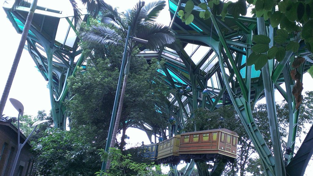 IMAG5992.jpg IMAG5992.jpg