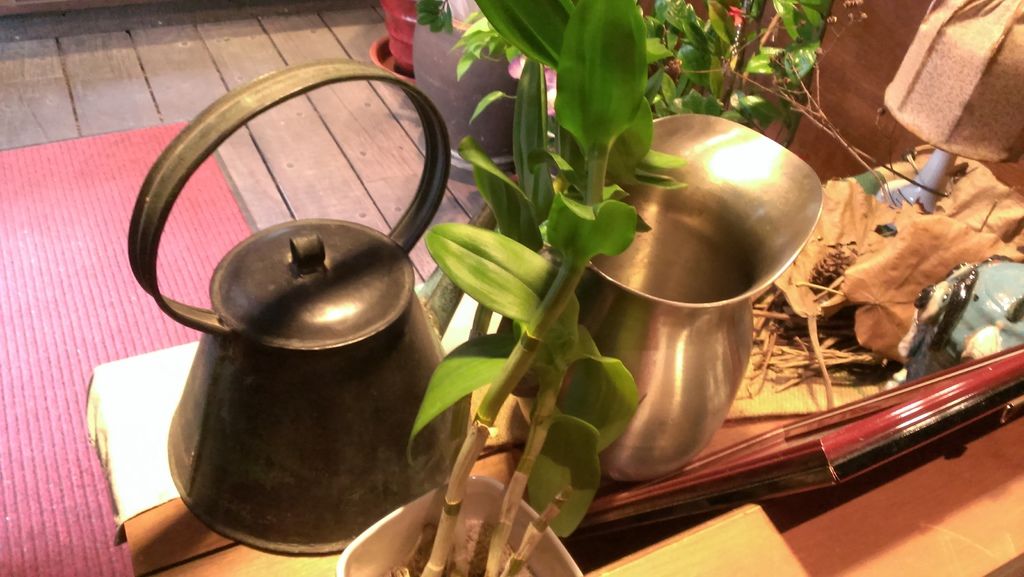 IMAG6004.jpg IMAG6004.jpg