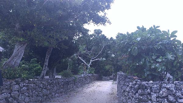 IMAG6456.jpg IMAG6456.jpg