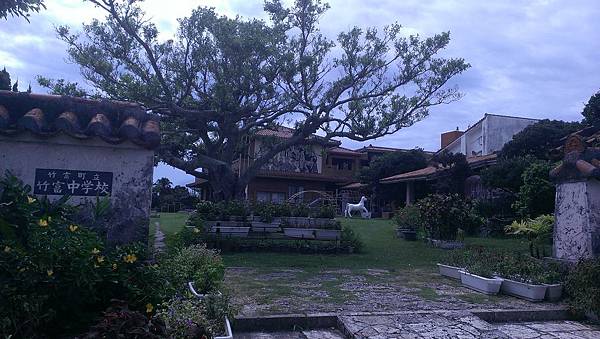 IMAG6461.jpg IMAG6461.jpg