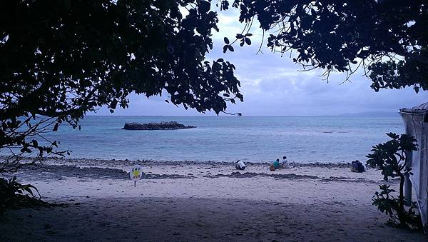 IMAG6468.jpg IMAG6468.jpg