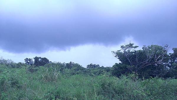 IMAG6478.jpg IMAG6478.jpg