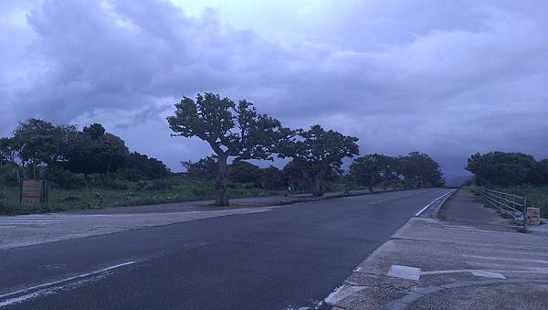 IMAG6485.jpg IMAG6485.jpg