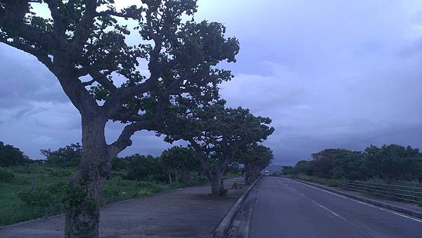 IMAG6488.jpg IMAG6488.jpg