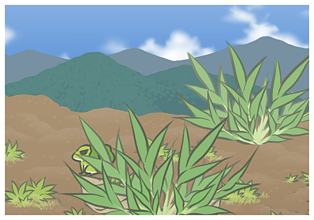 tabikaeru(1) tabikaeru(1)