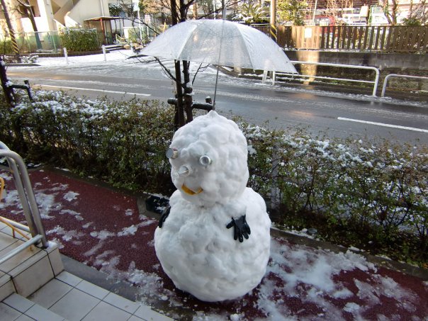 網誌用ㄉ圖片