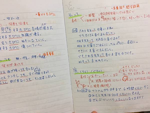 IMG_6372.jpeg IMG_6372.jpeg