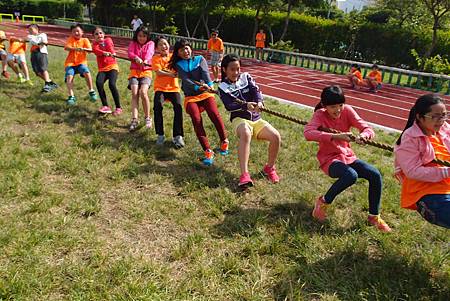 P5260453.JPG P5260453.JPG