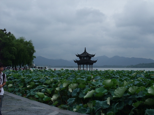 DSCF1775.jpg