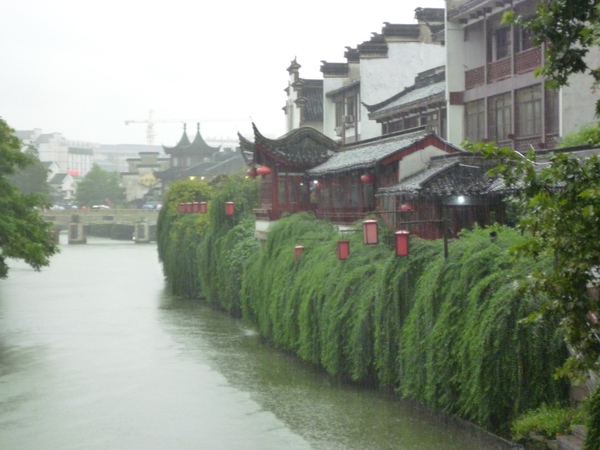 P1010555.JPG