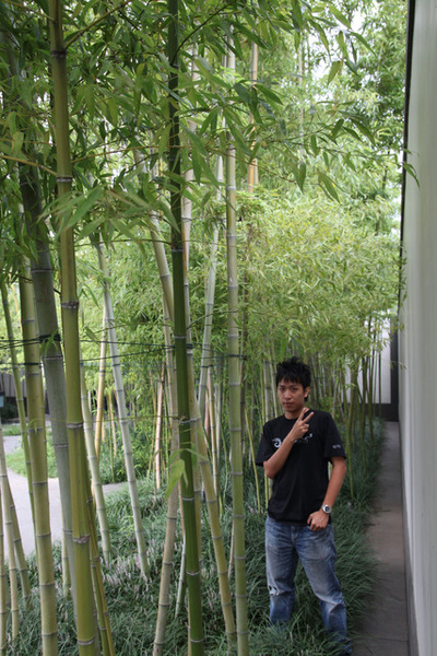 nEO_IMG_IMG_0062.jpg