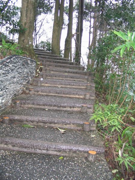 林間小路