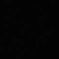 這張則是拍螢火蟲的ORZ