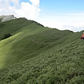 奇萊主峰+北峰