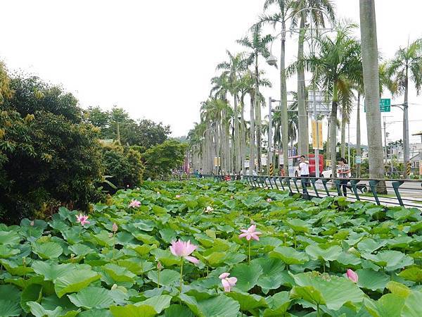 南投中興新村~松濤園歐式庭園餐廳景觀篇