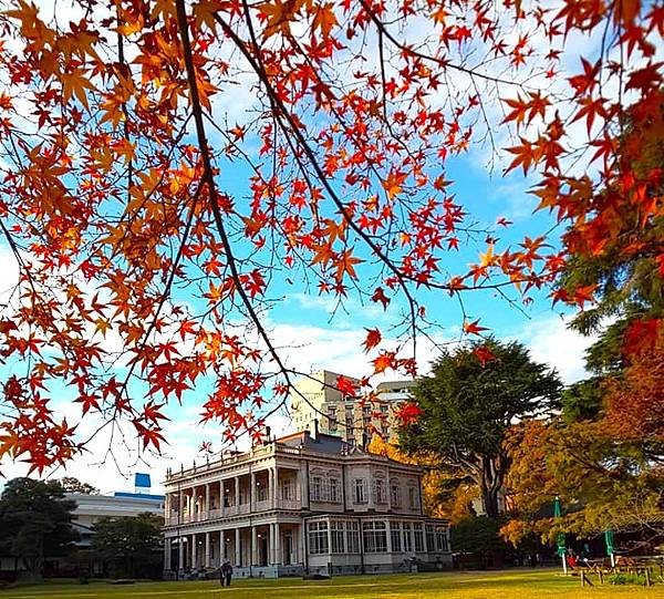 楓紅層層&東京都立公園(舊岩崎宅邸庭園)
