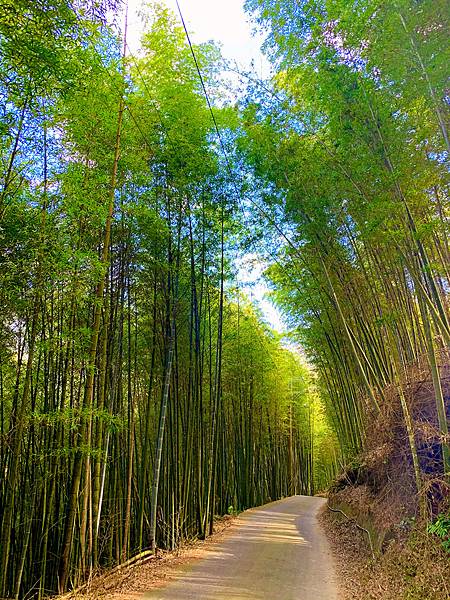 IMG_E4323_副本.jpg