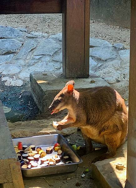 壽山動物園