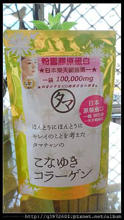 SAM_6063.JPG 試用