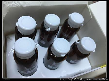 檔案_003.jpeg 試用