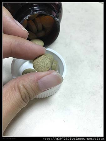 檔案_006.jpeg 試用