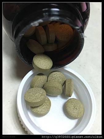 檔案_005.jpeg 試用