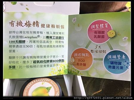 IMG_8014.JPG 試用