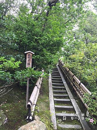 金閣寺-金閣寺垣.jpg