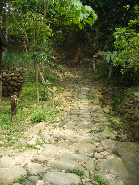 古色古香的步道呢