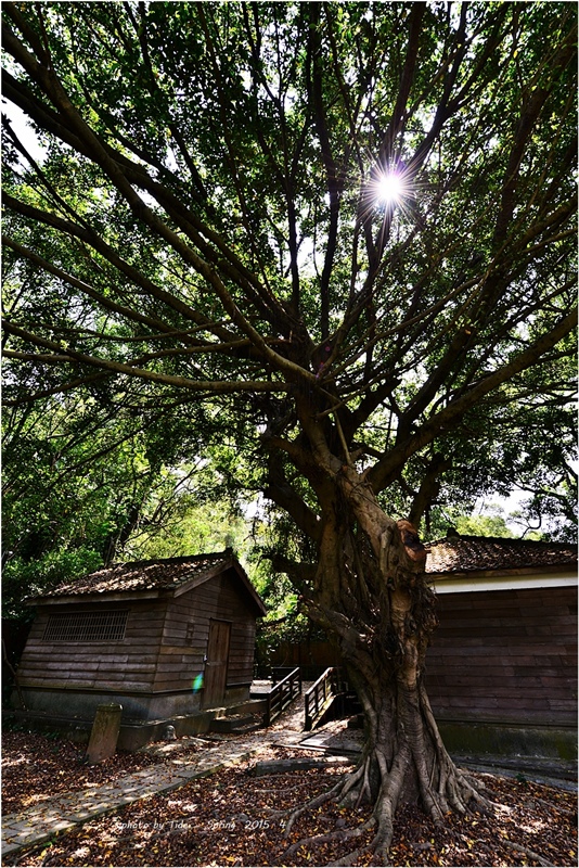 2015-忠烈祠-竹林寺-北美館-10.JPG