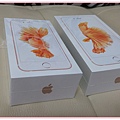 20151109_201330.jpg