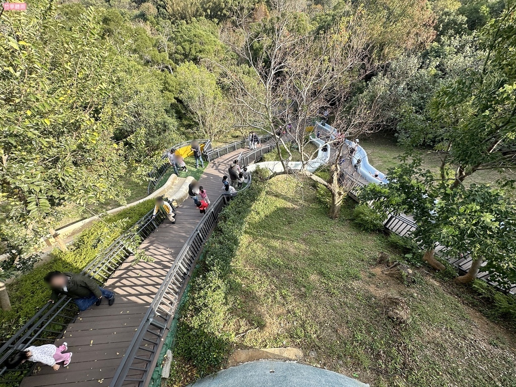 【新竹戶外親子景點】 青青草原-北台灣最長溜滑梯，速度快又過
