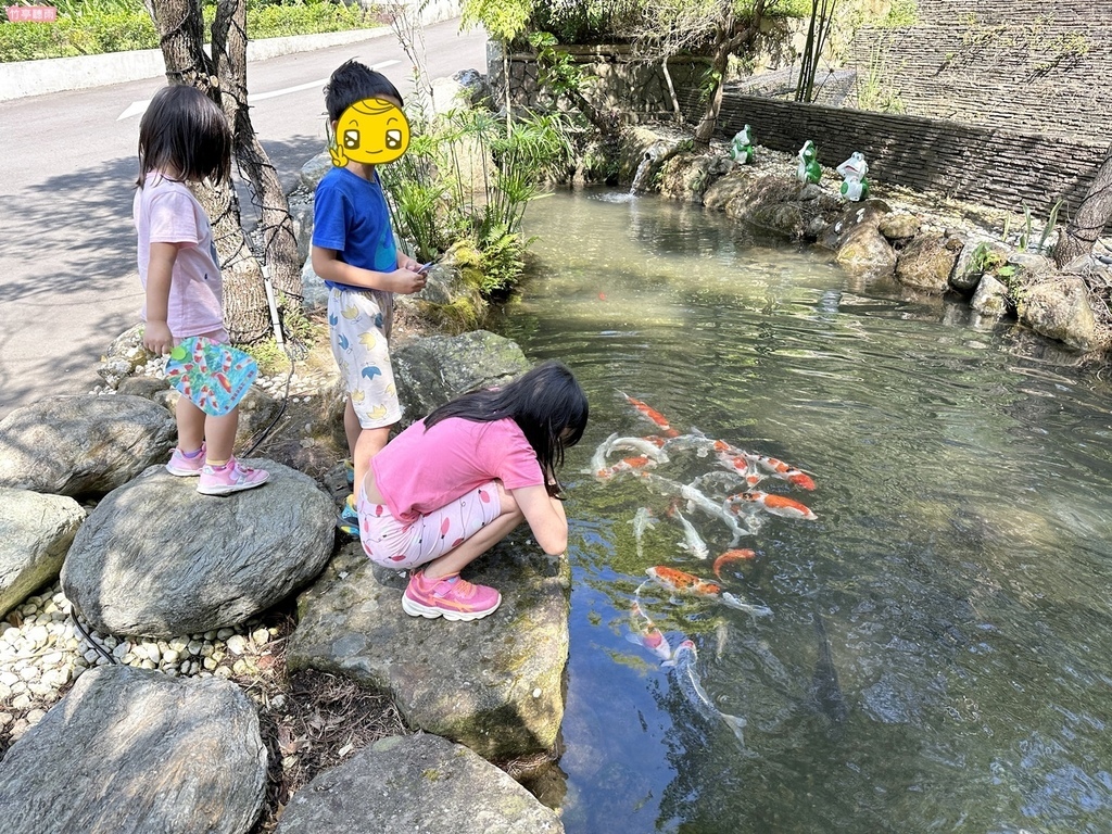 【新竹餐廳】新竹尖石景觀餐廳 日見森嵐，透明玻璃天空大平台，