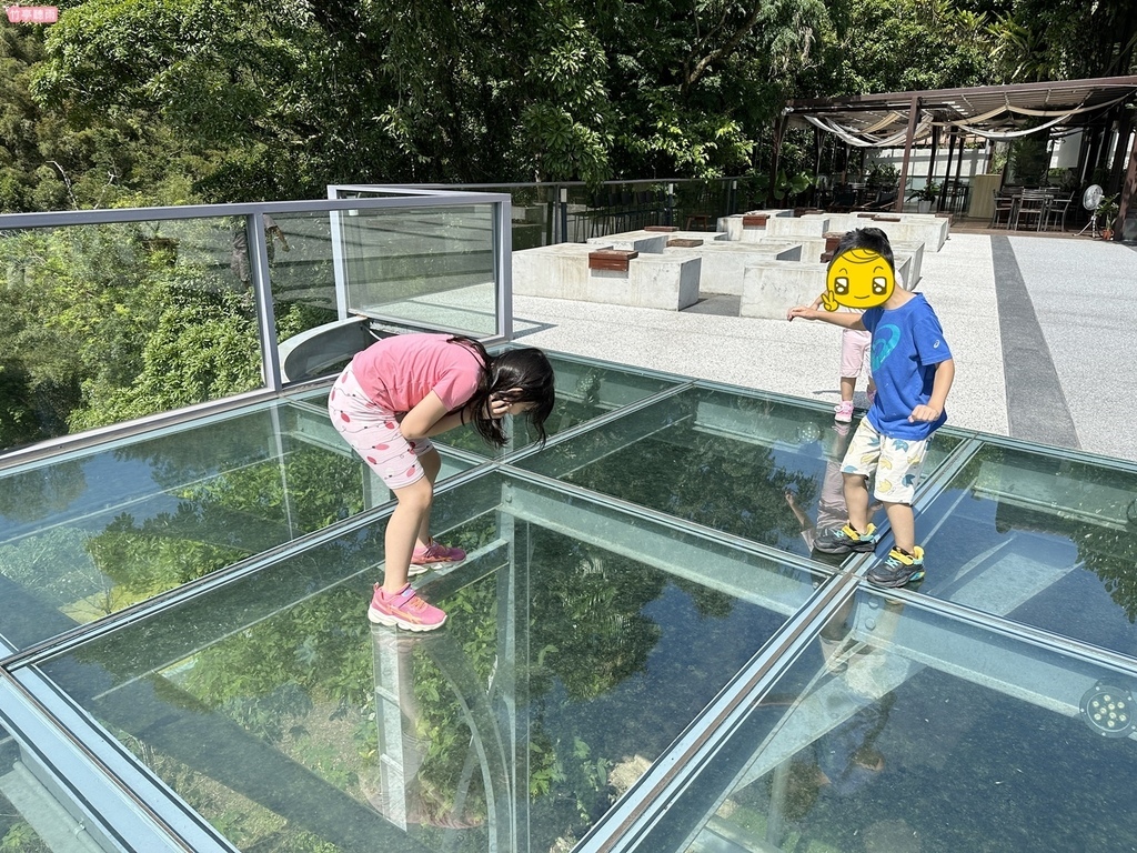 【新竹餐廳】新竹尖石景觀餐廳 日見森嵐，透明玻璃天空大平台，