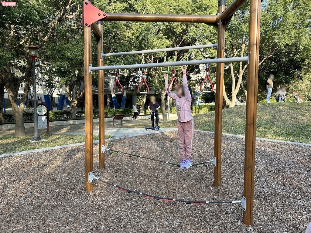 【新竹親子公園】竹北高鐵公二 藤蔓冒險遊戲場 滑軌、冒險攀爬