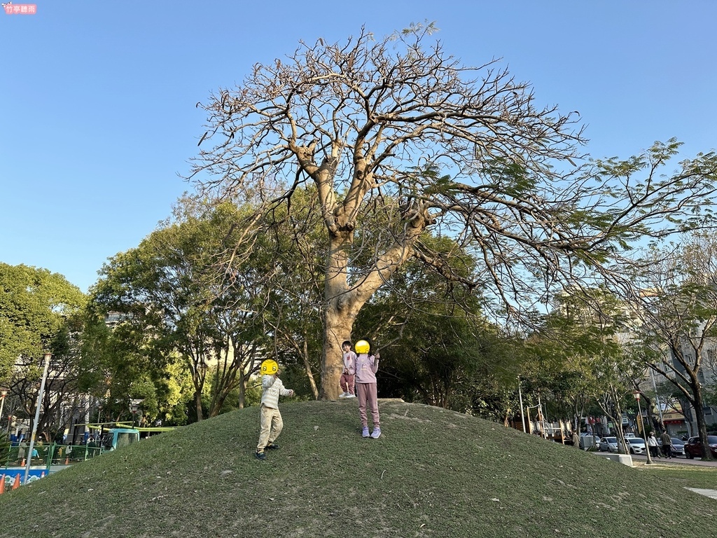 【新竹親子公園】竹北高鐵公二 藤蔓冒險遊戲場 滑軌、冒險攀爬