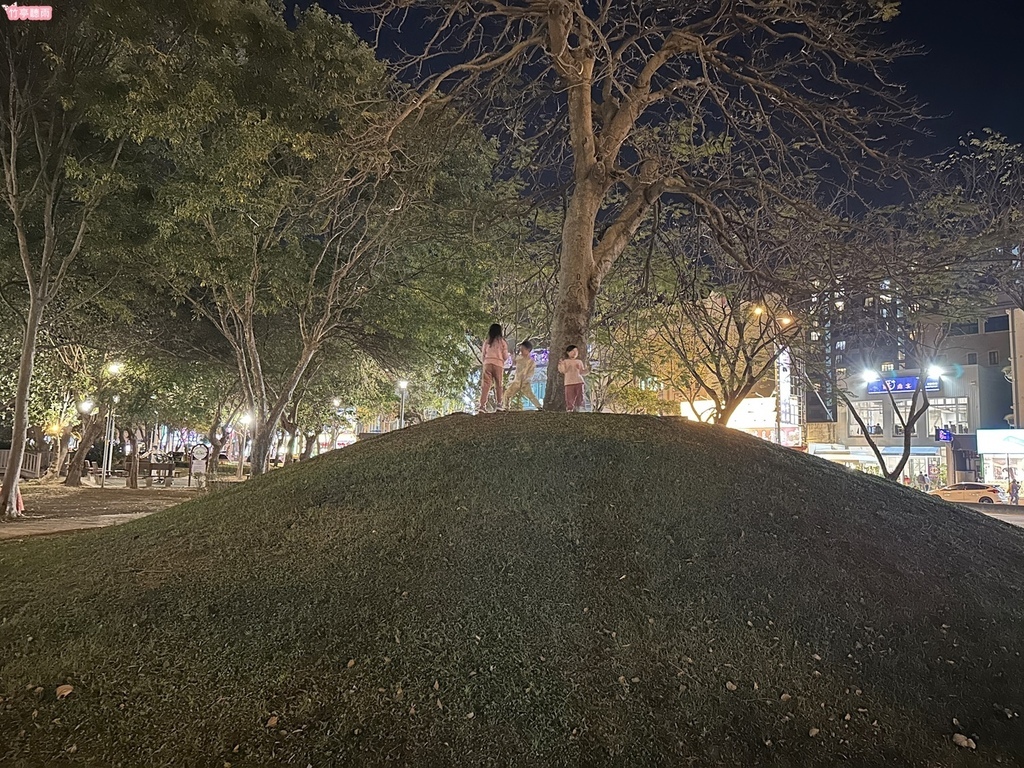 【新竹親子公園】竹北高鐵公二 藤蔓冒險遊戲場 滑軌、冒險攀爬