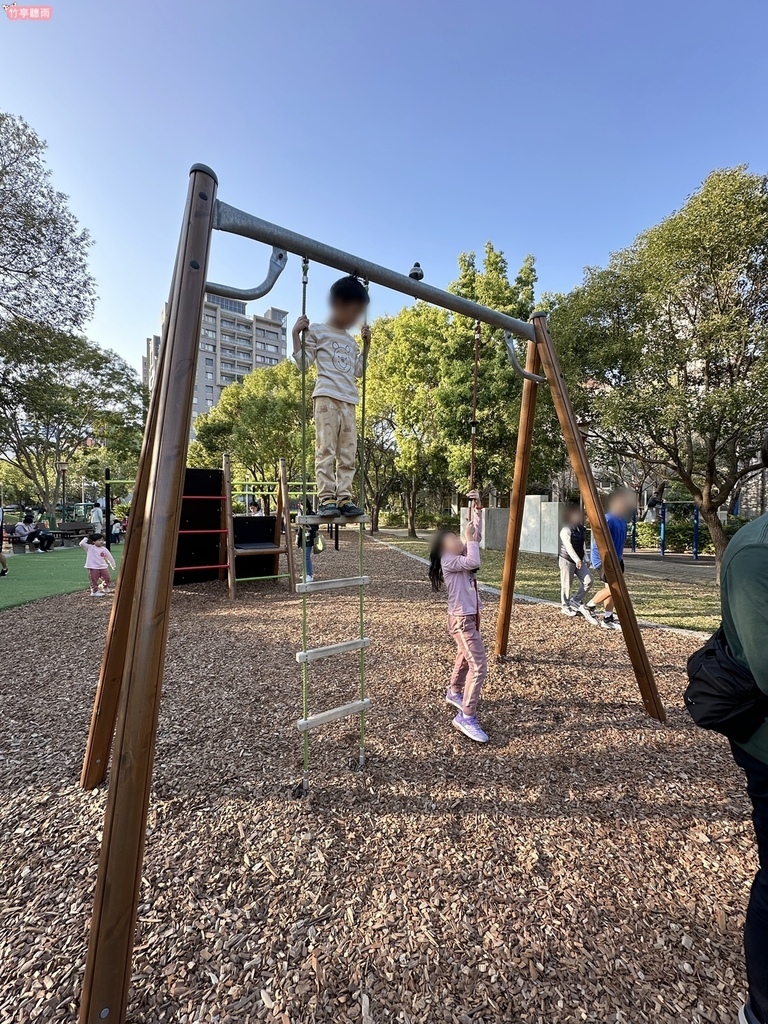 【新竹親子公園】竹北高鐵公二 藤蔓冒險遊戲場 滑軌、冒險攀爬