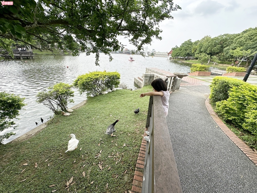 【桃園親子景點】龍潭大池兒童遊戲場，池邊攀爬架、腳踏船、餵魚