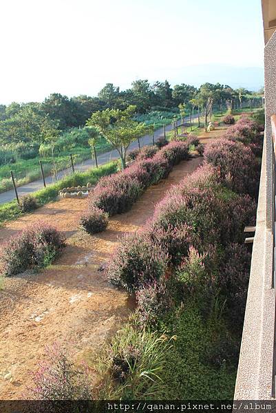 關西六福莊生態飯店/肯亞藍天房