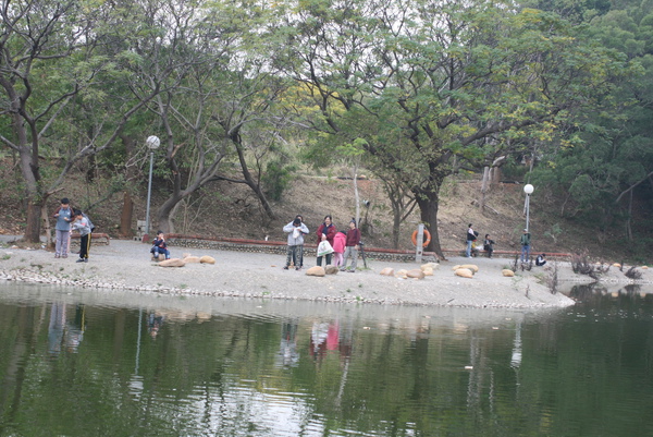 東海大學