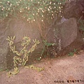 DSCF6734.jpg