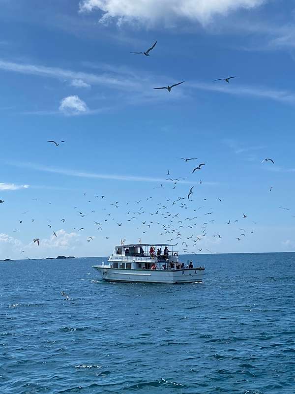 澎湖旅行提案 澎湖東海跳島之旅 珊瑚礁釣魚浮潛 餵海鷗 海上獨木舟 神秘果凍海初公開 許傑 旅行圖中