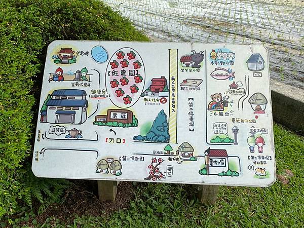 20200801採棗吃棗_200803_38