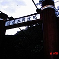 DSCN8021.JPG