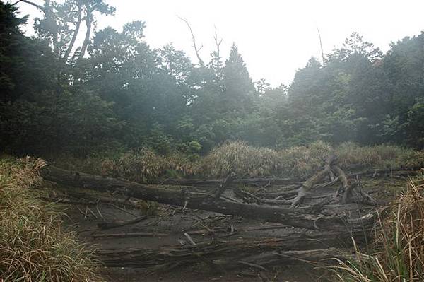 檜木池