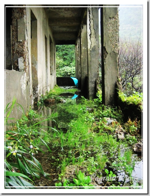 20050227--大山國小-大粗坑古道 20050227--大山國小-大粗坑古道